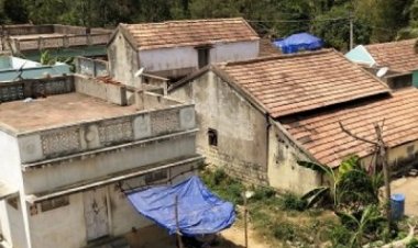 நாய்களை அடிக்கக் கூடாது! அசைவம் சாப்பிடக்கூடாது! தமிழகத்தின் ஆச்சர்ய கிராமம்!