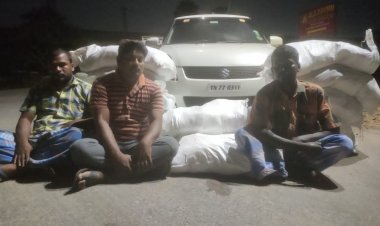 240 கிலோ புகையிலை பறிமுதல்!