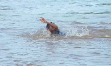 பாலாற்று வெள்ளத்தில் நீந்தும் மாணவர்கள்! ஆபத்தோ... ஆபத்து!