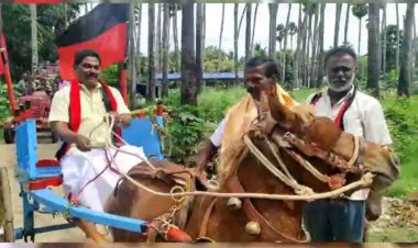 குதிரை வண்டி ஓட்டி வாக்கு சேகரிக்கும் ஜோலார்பேட்டை எம்.எல்.ஏ!