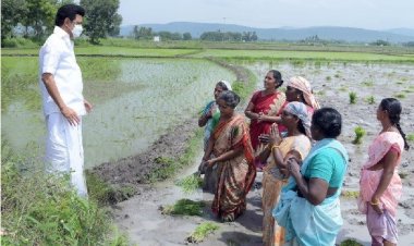 நாற்று நடவு விவசாயிகளுடன் முதல்வர் ஸ்டாலின்!