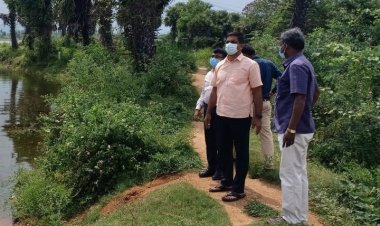 நீர் நிரம்பிய ஏரிகளை பார்வையிட்ட வேலூர் ஆட்சியர்!