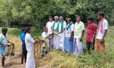 பேரிடர் காலத்தில் தரமற்ற மின் கம்பங்கள் அமைத்தனர்:- அரசே காப்பாற்றுங்கள்!
