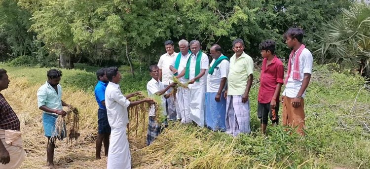 பேரிடர் காலத்தில் தரமற்ற மின் கம்பங்கள் அமைத்தனர்:- அரசே காப்பாற்றுங்கள்!