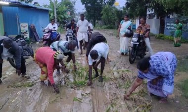 சாலையில் பயிர் செய்யும் மக்கள்!