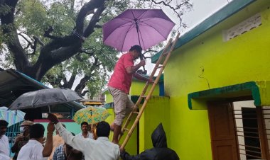 ஏணி மேல் ஏறி ஆய்வு செய்த ஆட்சியர்!