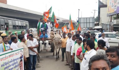   தமிழக அரசு பெட்ரோல் வரியை  குறைக்கனும்! பாஜகவின் மாட்டுவண்டி ஆர்பாட்டம்!