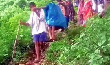 ஆயிரம் பழங்குடியின குடியிருப்புகளுக்கு சாலை வசதி இல்லை!