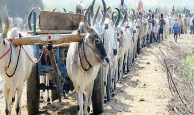 ஒரு யூனிட் ஆற்று மணல் ஆயிரம் ரூபாய் மட்டுமே! சிசிடிவியும் உண்டாம்!