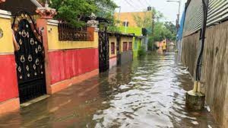 சென்னை வெள்ளத்தை தடுக்க புதிய ஐடியா! வல்லுநர் குழு!