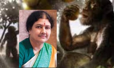 சின்னம்மா? யாரும்மா அந்த குரங்கு! சசிகலாவின் கதையும் உட்கருத்தும்!