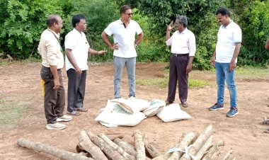 கலெக்டரை கண்டதும் ஓட்டமெடுத்த கள்ளச்சாராய பார்டிகள்! அதிர்ச்சியில் டி.எஸ்.பி.!