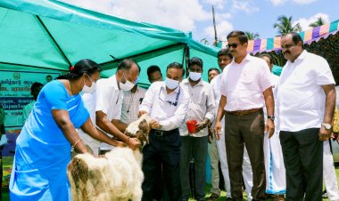 ரூ.16,71,260 மதிப்பீட்டில் 87 பயனாளிகளுக்கு நலத்திட்ட உதவிகள்:- வேலூர் ஆட்சியர் வழங்கினார்!