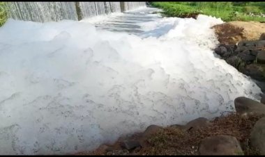 தோல் கழிவு நீரால் பாழாய் போகும் பாலாறு!