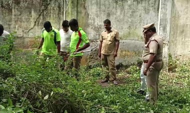 திருப்பத்தூர் சார் ஆட்சியர் அலுவலகத்தில் பாம்பு பண்ணை!