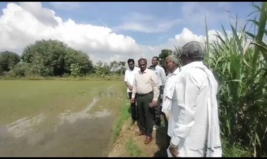 தீவிர ஆய்வு நடத்திய இராணிப்பேட்டை ஆட்சியர்!