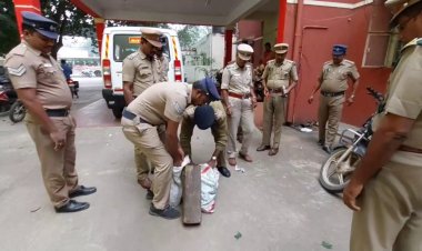 சந்தன மரம் இன்னும் இருக்கா?