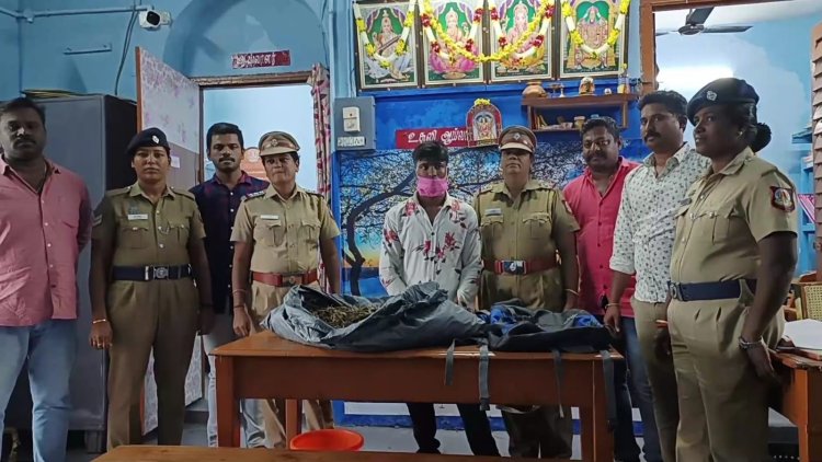 கஞ்சா ஸ்பாட்டாக மாறிய காட்பாடி!