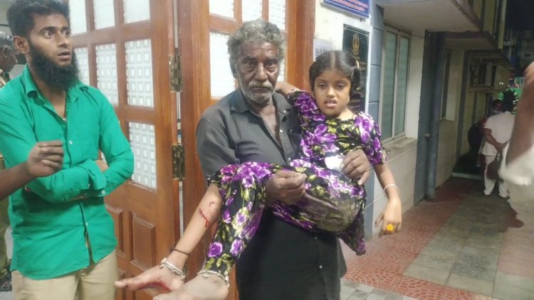 தெரு நாய்கள் கடித்து எட்டு பேர் மருத்துவமனையில் அனுமதி! உடனே பிடிக்க கோரிக்கை!