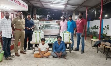 சாக்லேட்டில் கஞ்சா! 70 லட்சம் மதிப்பில் பிடிபட்டது!