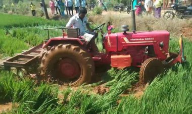 பச்சிளம் பயிரை அழித்த அரக்க அதிகாரிகள்!