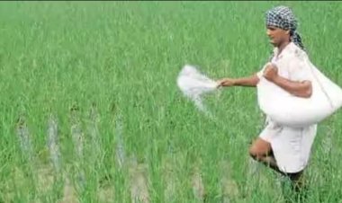 உரம் பெறுவதற்கு சாதி பிரிவு தரவேண்டுமா? என்னங்கடா இது கம்பி கட்டுற வேலை!!