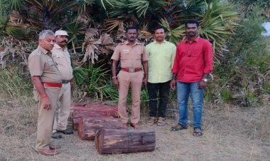 தொண்டு நிறுவனத்தில் செம்மரக்கடைகள் பதுக்கல்!