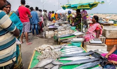 "வாழ்வோ, சாவோ இங்கேயே தான் இருப்போம்! கொதிக்கும் சென்னை மீனவர்கள்!