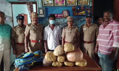 ரயிலில் கடத்தப்பட்ட 14 கிலோ கஞ்சா! ஒருவர் கைது!!