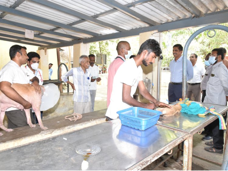 நாய் தலையில் உடைந்த பிளாஸ்டிக் குடம்! கலெக்டர் முன்னிலையில் அகற்றம்!