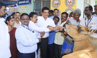 கால்நடை கிளை மருத்துவமனை வேண்டும் என திமுக எம்.எல்.ஏ.கோரிக்கை!