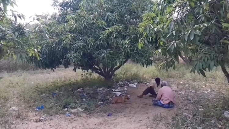 மாந்தோப்பில் குடிகாரர்கள்! கத்தியை காட்டி விவசாயியை மிரட்ட்டல்!