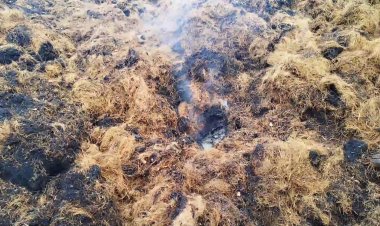  நார் தொழிற்சாலை  திடீரென நள்ளிரவு தீ!