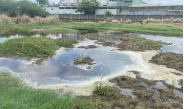 தோல் கழிவு இராசாயன நீரை கிணற்றில் கலந்த பாதக தொழிற்சாலைகள்! ஆட்சியர் சீல்!!