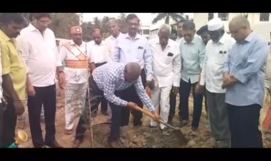 ஷூ கம்பெனியில் செடிகள் நட்ட கலெக்டர்!