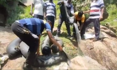 சார் ஒரு டவுட்டு! பச்ச தண்ணியா!? சாராயமா?