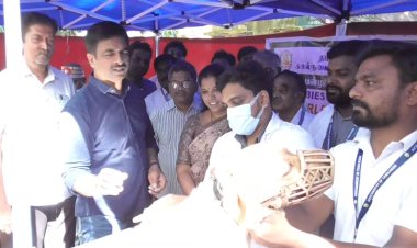 வெறி நோய் தினத்தை முன்னிட்டு கால்நடைகளுக்கு தடுப்பூசி!