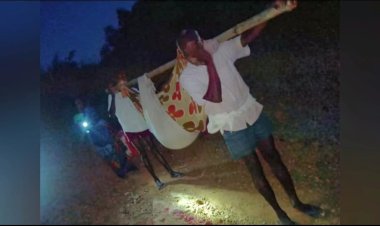 அதிமுக வாவது மண் சாலை போட்டுக் கொடுத்தது ஆனால் திமுக அரசு? டோலி மூலம் கர்பிணி பெண்!