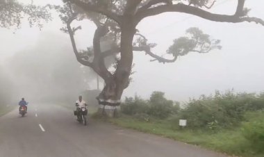 வேலூர் மாவட்டத்தில் மூடுபணியும் கடும் வெயிலும்!