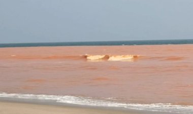 சிவப்பு நிறமாக மாறிய புதுவை கடல்! மக்கள் உதறல்!