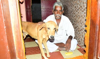 இறந்த செல்ல நாயை மனிதர்களைபோல் அடக்கம் செய்த நபர்!
