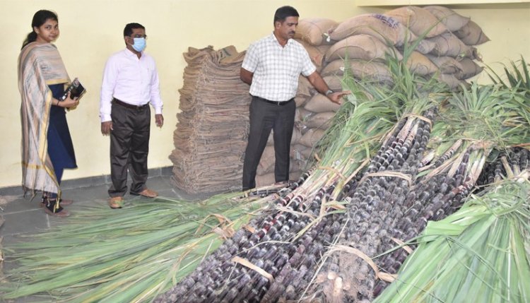 அனைத்து குடும்ப அட்டைதாரர்களுக்கும் பொங்கல் பரிசு ரூ.1000! முதலமைச்சர் அறிவிப்பு!