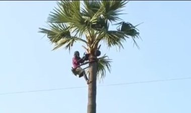 காவல் நிலையத்தில் அனுமதி பெற்று  போதை "கள்" இறக்கும் தொழில் படுஜோர்! உயர் அதிகாரிவரை மாமுல் பெறுவதாக பரபரப்பு பேட்டி!