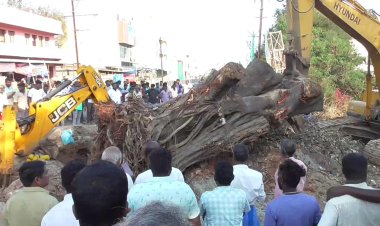 தனியார் கல்லூரியின் ஆக்கிரமிப்புக்கு துணை போகும் போலிசார்!! வெட்டப்பட்ட மரத்தை அரசு புறம்போக்கு இடத்தில் நட எதிர்ப்பு!!
