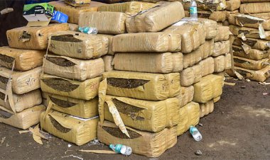 தமிழகத்தில் போதை பொருள் கடத்திய 470 பேர் கைது! இரண்டே மாதங்களில் பகீர்!