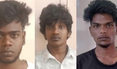 அரக்கோணம் வணிகர்களை அலற வைத்த கஞ்சா பார்டிகள்! மரத்துக்கடியில் பதுங்கி உயிர் தப்பிய மூதாட்டி!