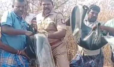 தெளிவாக காய்ச்சப்பட்ட கள்ளச்சாராயம்! போலீசார் பிடித்து அழித்தனர்!