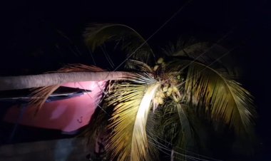 மின்வாரிய அதிகாரிகளின் அலட்சியத்தால் ஆபத்தான பயண செய்த மக்கள்!