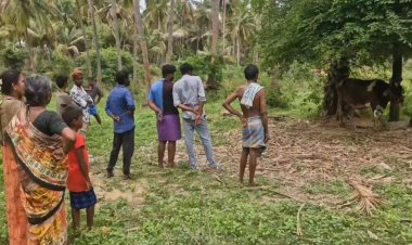 விலங்குகளை கொல்ல கன்னி வெடி! இருவர் கைது!