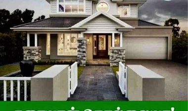 இதோ... இதை பண்ணுங்கள் போதும்! கரையான் கரப்பான்கள் ஓடிவிடும்!